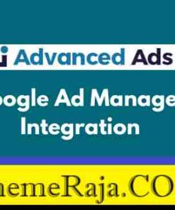 Advanced Ads Google Ad Manager Integration