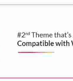 Bravo Store – WZone Affiliates Theme for WordPress