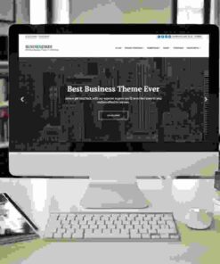 CSS Igniter Business3ree