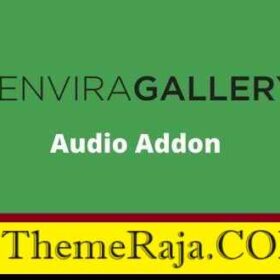 Envira Gallery Audio Addon GPL Pro Plugin