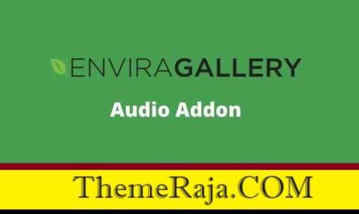 Envira Gallery Audio Addon GPL Pro Plugin