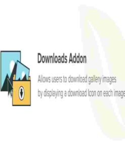 Envira Gallery Downloads Addon GPL Plugin