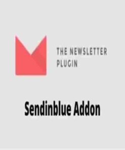 Newsletter Sendinblue Addon GPL Plugin