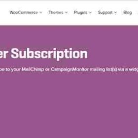 WooCommerce Newsletter Subscription GPL Pro Plugin