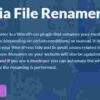 Media File Renamer Pro GPL Plugin