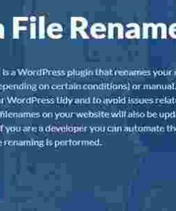 Media File Renamer Pro GPL Plugin