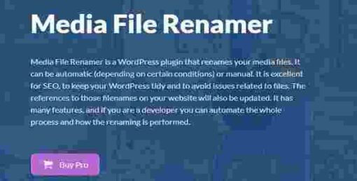 Media File Renamer Pro GPL Plugin