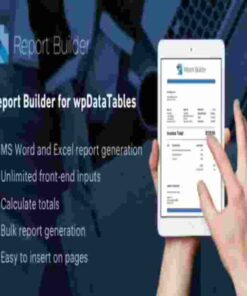 Report Builder add-on for wpDataTables GPL Plugin