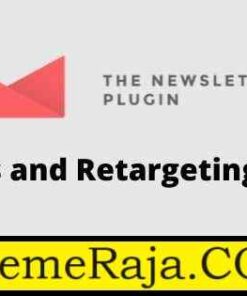 Newsletter Reports and Retargeting Addon GPL Plugin