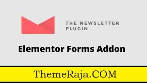 Newsletter Elementor Forms Addon GPL Plugin