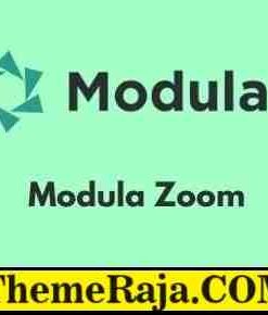Modula Zoom GPL Plugin