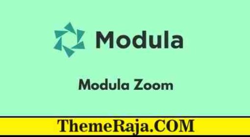 Modula Zoom GPL Plugin