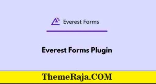 Everest Forms Advanced Form Analytics GPL