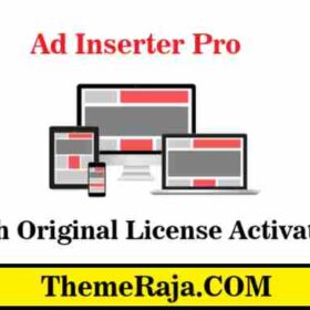 Ad Inserter Pro With Original License Activation
