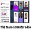 Meet the team elementor addon GPL