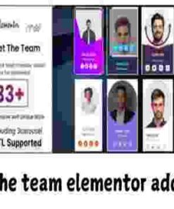 Meet the team elementor addon GPL