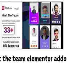 Meet the team elementor addon GPL