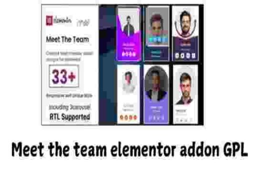 Meet the team elementor addon GPL