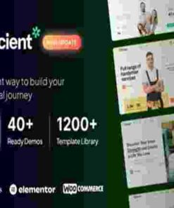 Profecient Theme GPL Multipurpose Elementor Business & WooCommerce WordPress Theme