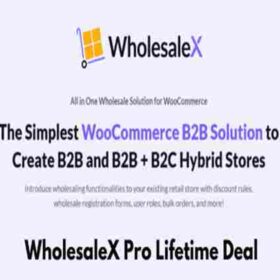 WholesaleX Pro Lifetime Deal WooCommerce B2B Solution to Create B2B and B2B + B2C Hybrid Stores