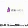WPDesk Flexible PDF Coupons PRO Advanced Sending GPL