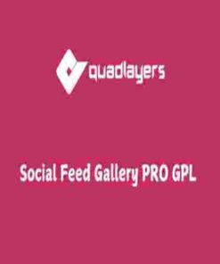Social Feed Gallery PRO GPL Plugin