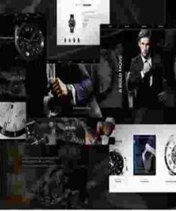 SwissEagle Theme GPL Watch Store WordPress
